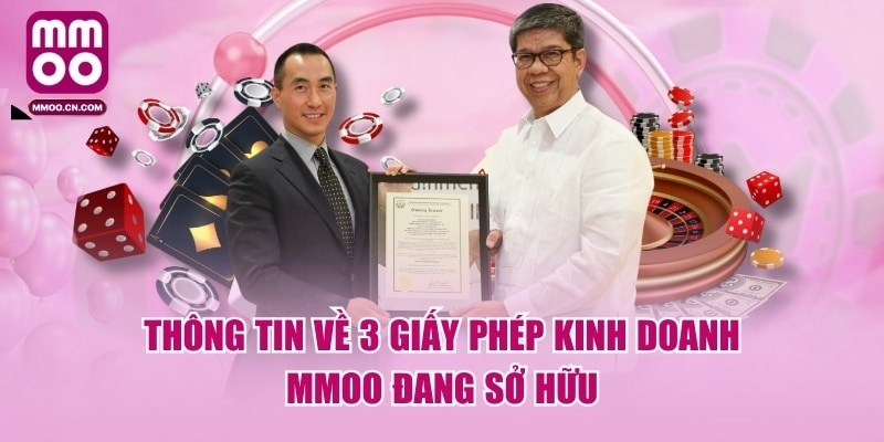 Thông Tin Về 3 Giấy Phép Kinh Doanh MMOO Đang Sở Hữu
